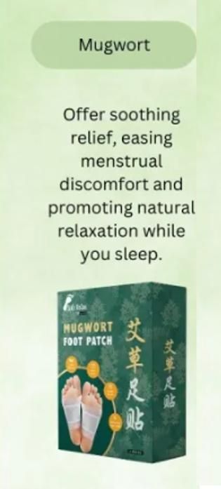 Mugwort Sole Detox Patch (Pack of 10)